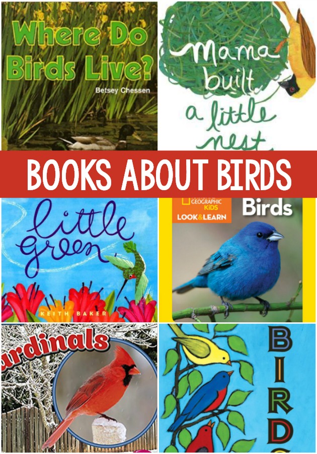 Books About Birds for Preschool