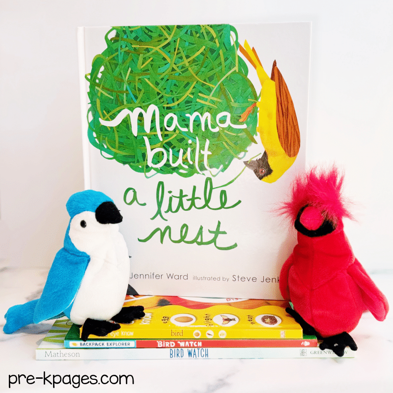 mama built a little nest picture book