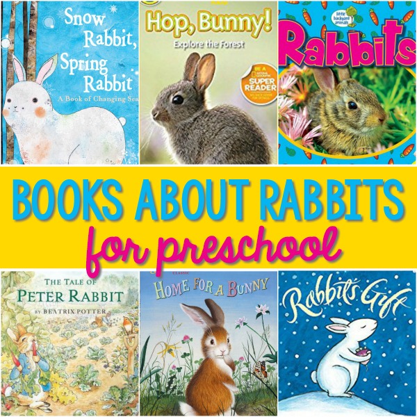 Rabbit Books for Preschoolers