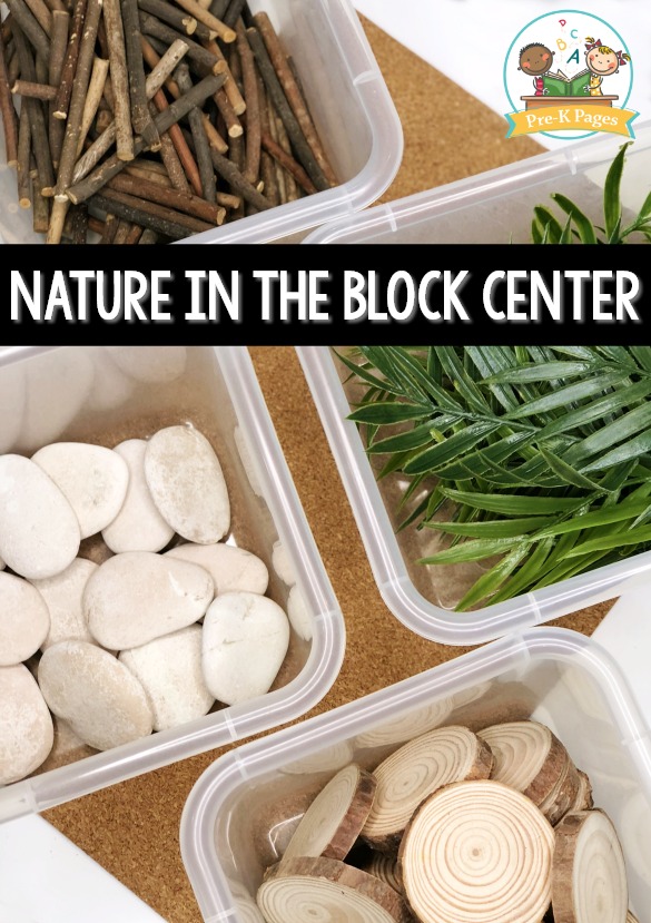 Natural Items in the Block Center
