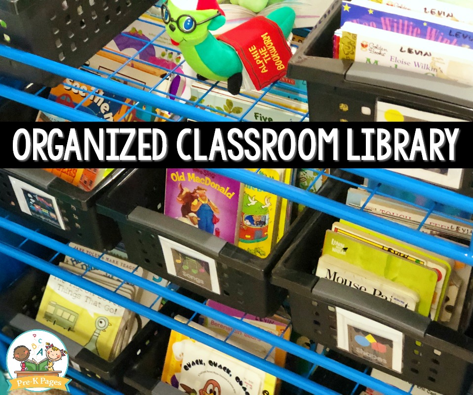 Organized Classroom Library in Preschool