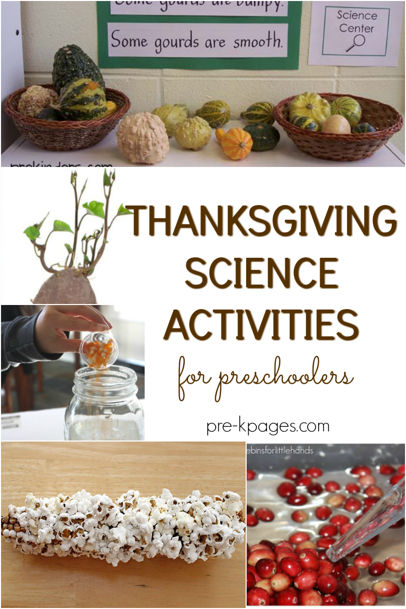 thanksgiving science preschool