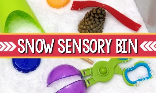 Snow Sensory Bin for Preschool