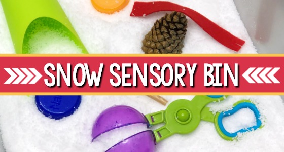 Snow Sensory Bin for Preschool