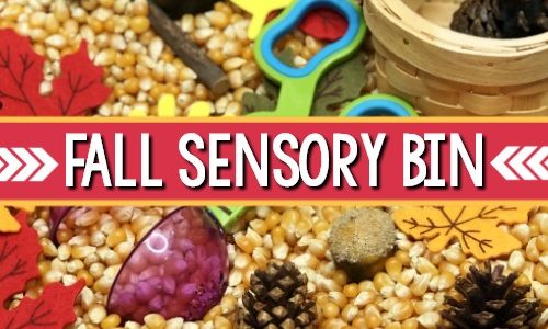 Harvest Theme Sensory Bin
