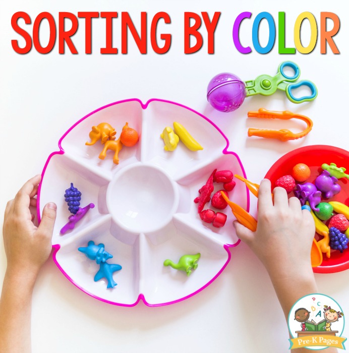 Sorting by Color in Preschool