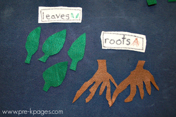 parts of flower roots leaves pre-k