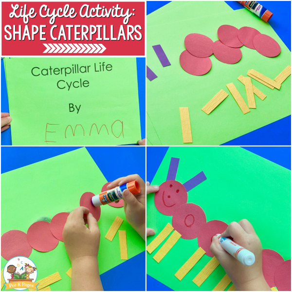 life cycle butterfly preschool