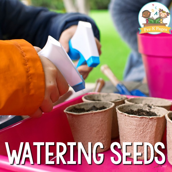 Watering Plant Seeds in Preschool
