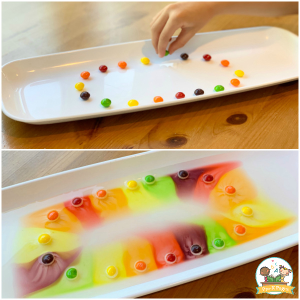 candy science experiment preschool