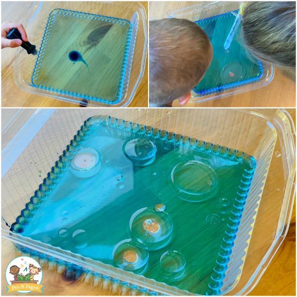 oil and water experiment preschool