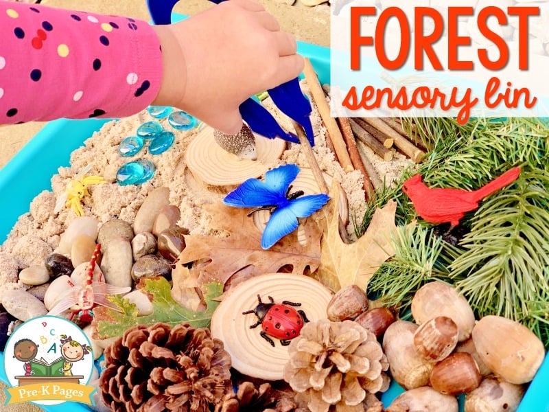 Forest Theme Sensory Bin
