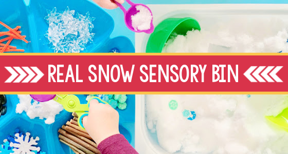 Winter Sensory Bin with Real Snow - Pre-K Pages