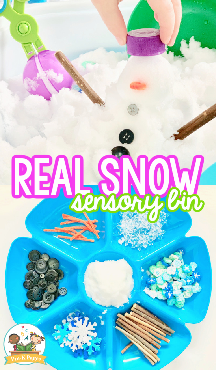 Winter Sensory Bin Ideas