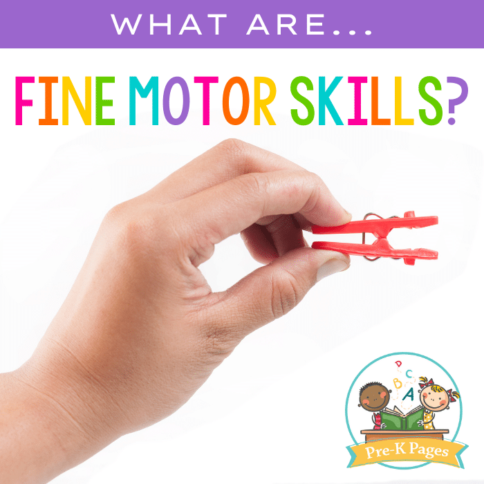 What are fine motor skills