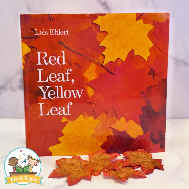 Red Leaf Yellow Leaf by Lois Ehlert