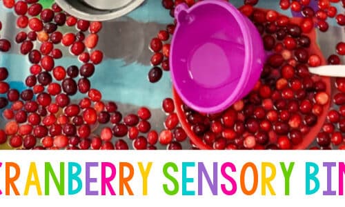 Cranberry Sensory Bin for Preschool