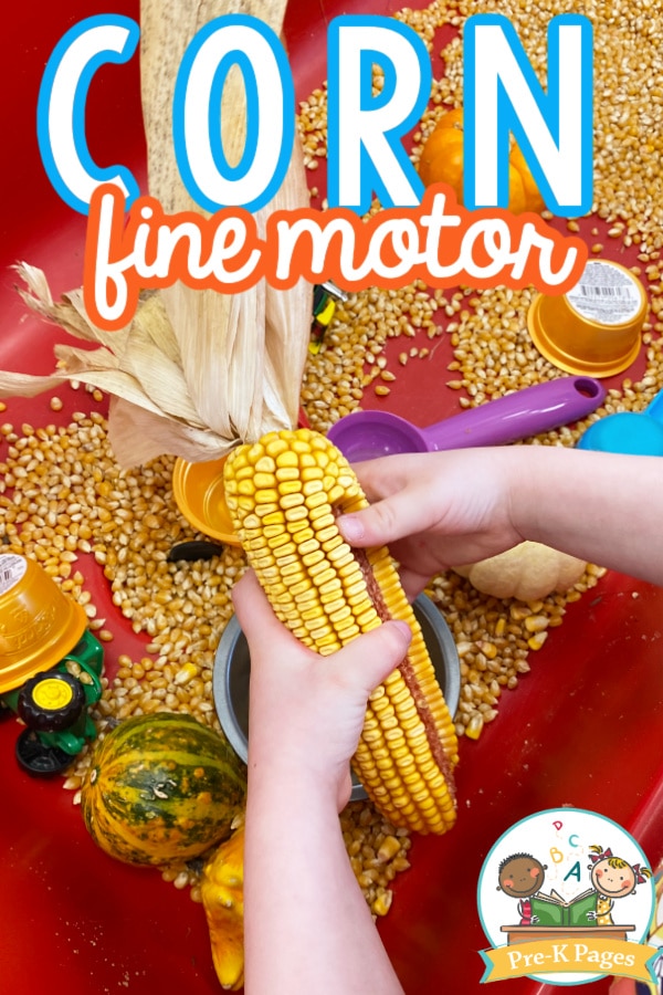Child holding corn cob in sensory bin
