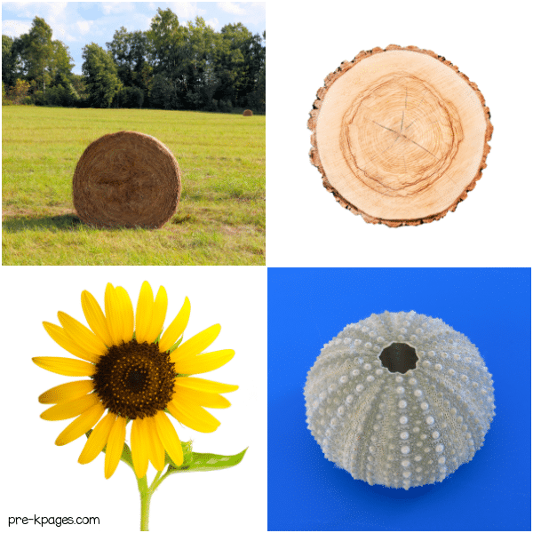 Circles in Nature
