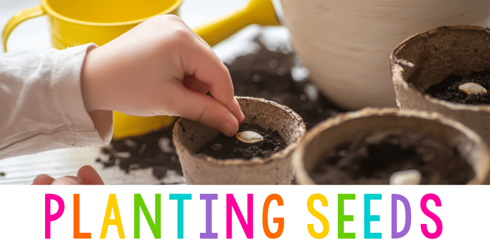 child putting seeds in cup filled with dirt