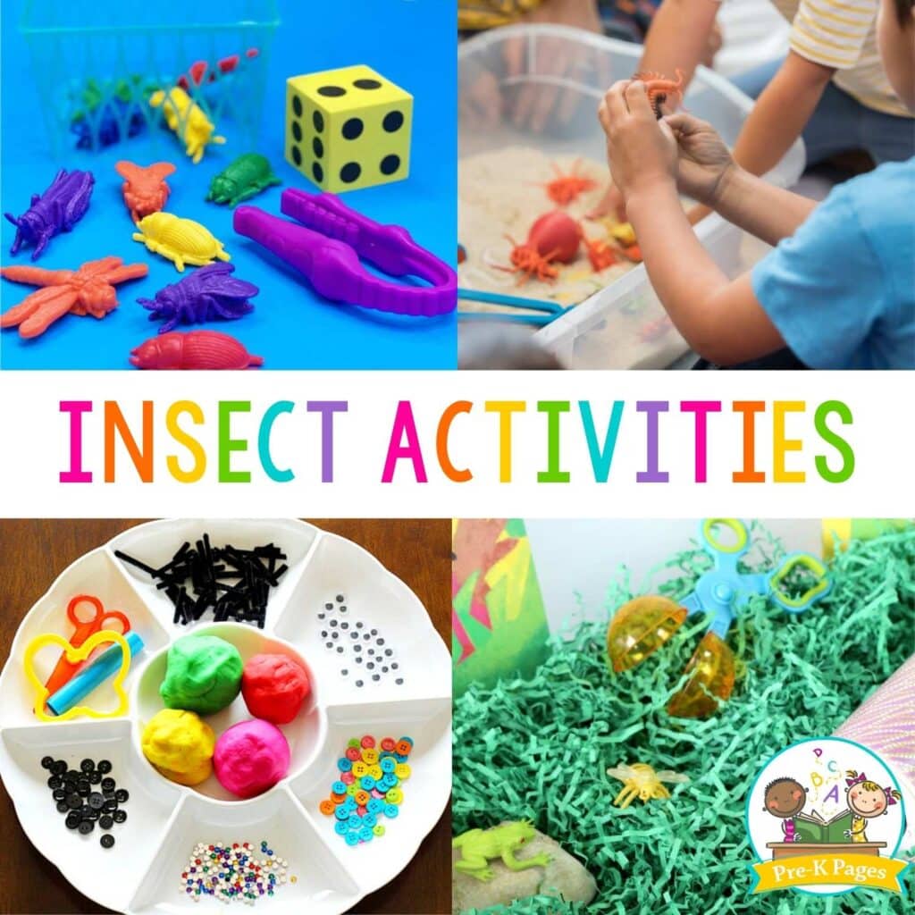Antihil Insects Insect Activities for Preschoolers - Pre-K Pages