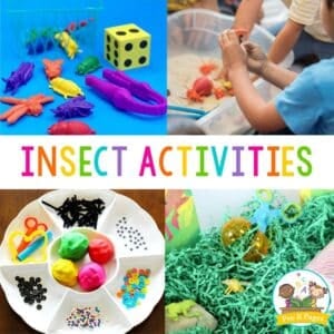 Insect Activities for Preschoolers - Pre-K Pages