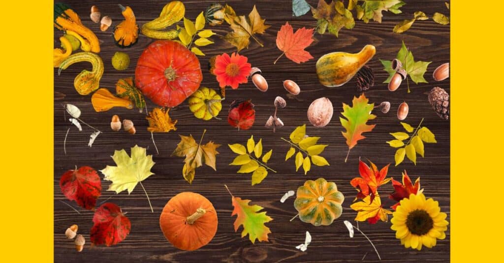 fall theme