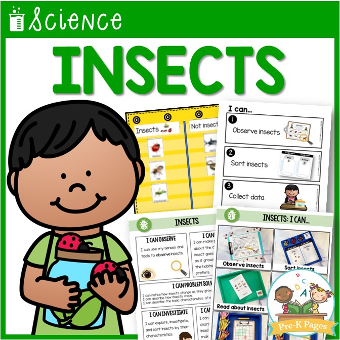 Insect Science Unit for Preschool