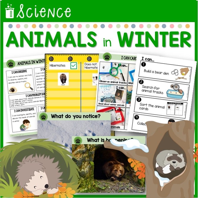 Preschool Science Animals in Winter