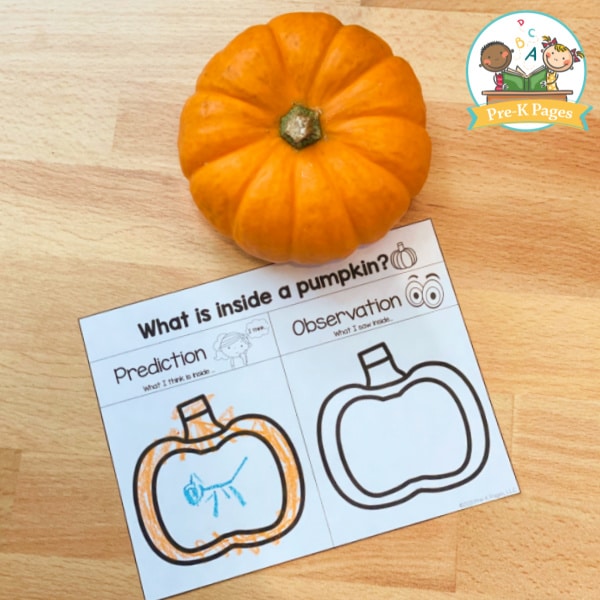 pumpkin on table with prediction worksheet