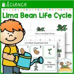 2021-lima-bean-science