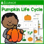 Pumpkin Life Cycle Science Lesson