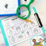 Animal Track Sensory Bin Hunt