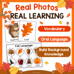 Fall Circle Time Lesson Plans 4