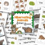 Hibernation Theme Literacy Activities for Preschool and Kindergarten