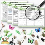 Insect Science Unit Lesson Plans