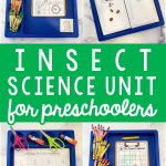Insect Science Unit for Preschool