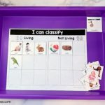 Living Non Living Sorting Activity