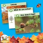 3 science posters displayed flat on blue table