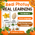 Pumpkin-Circle-Time-c