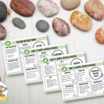 Rocks and Fossils Science Lesson Plans