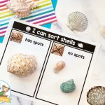 Sorting Shells T Chart