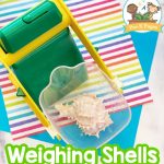 Weighing Shells