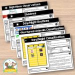 day-night-activities