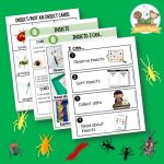 Preschool Insect Science Unit