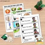 plants science unit for preschool