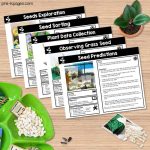 Preschool Science Activities Plants and Seeds