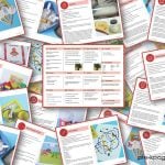 Little Red Hen Lesson Plan Bundle Preview